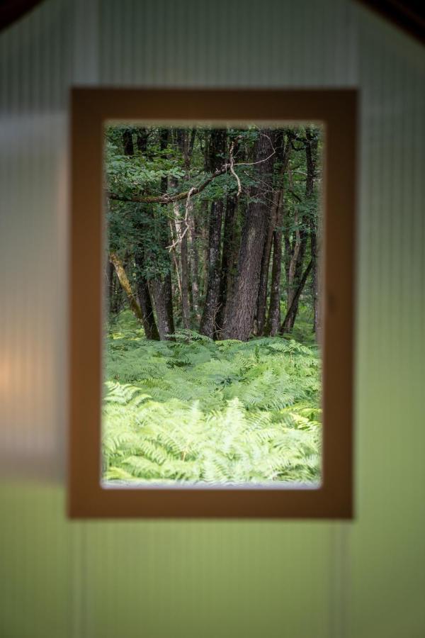 Camping Bois De St Hilaire Chalandray Bagian luar foto