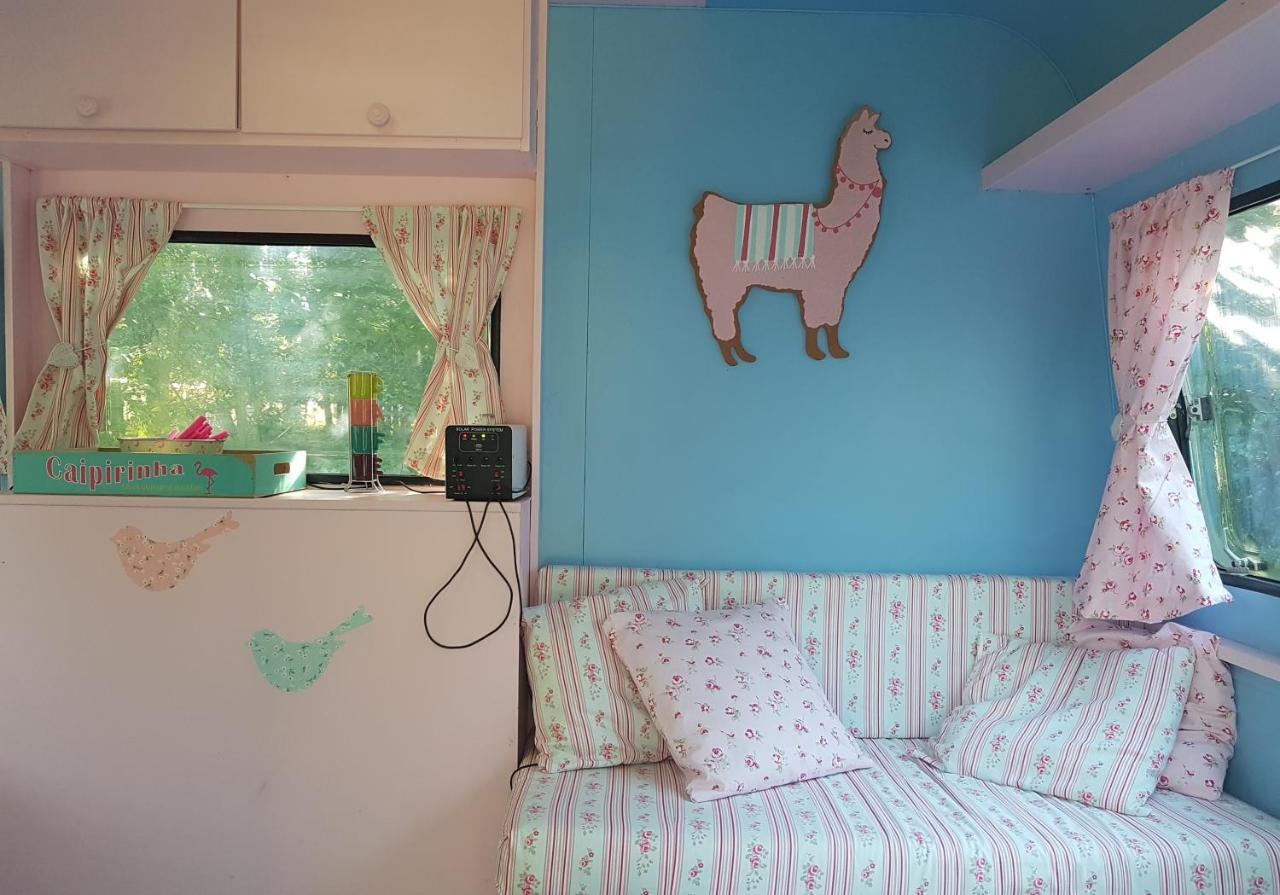 Camping Bois De St Hilaire Chalandray Bagian luar foto