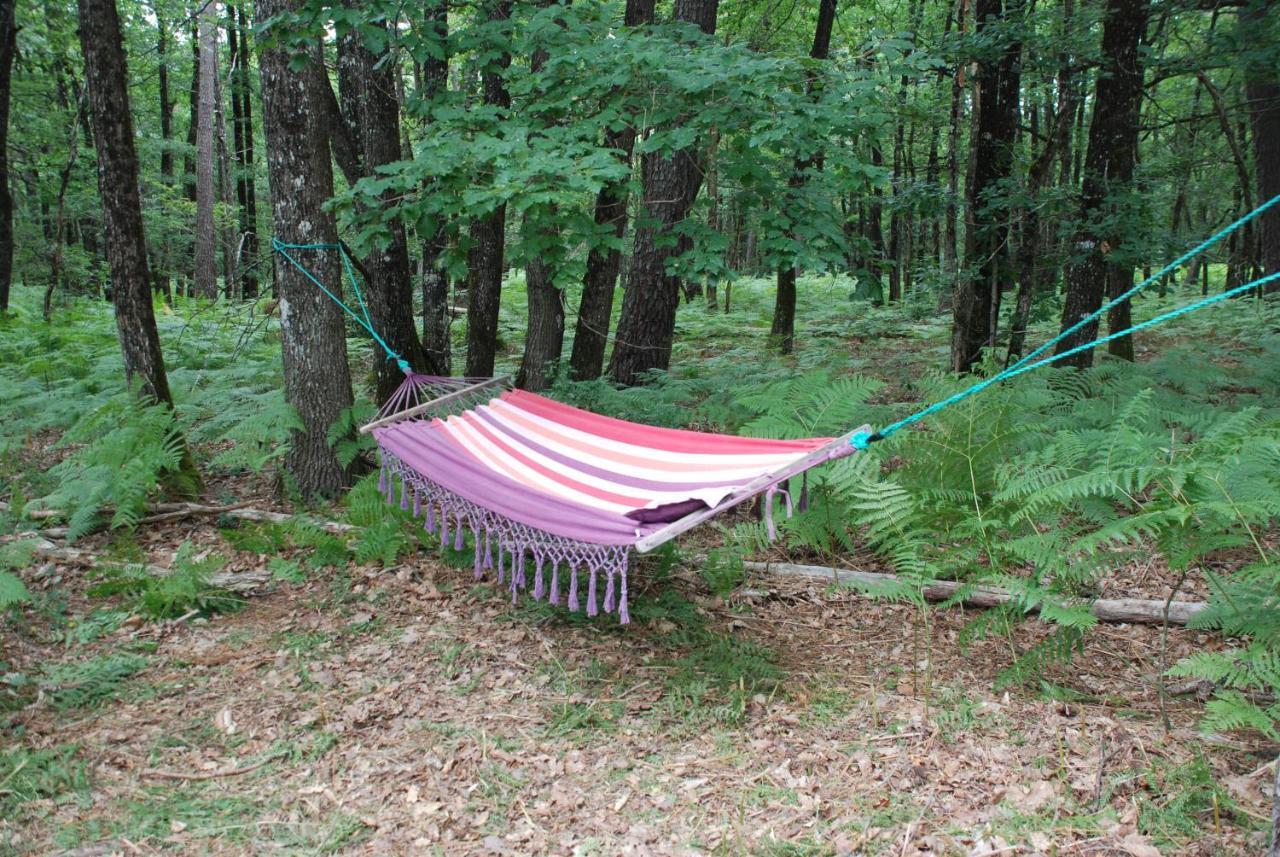 Camping Bois De St Hilaire Chalandray Bagian luar foto