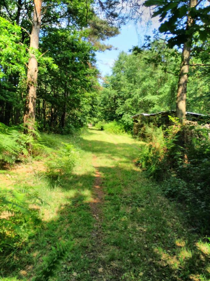 Camping Bois De St Hilaire Chalandray Bagian luar foto